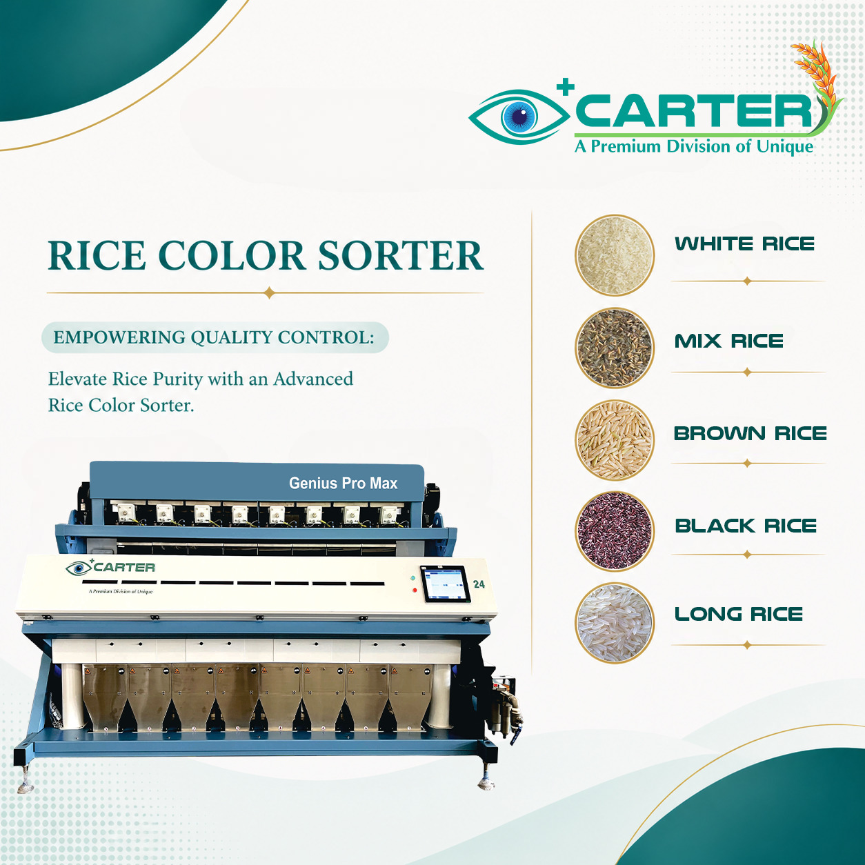 Unique Pulse Company Profile | Carter Unique Group